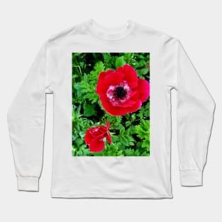 Delicate red and white anenome Long Sleeve T-Shirt